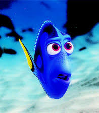 dory.jpeg