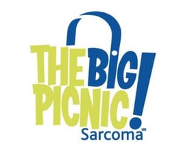 the-big-picnic.jpg